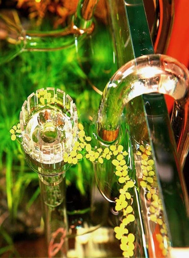 VAYINATO® Aquarium Fish Tank Cannister Filter Glass Inlet Pipe with Surface Skimmer and Outlet Lily Pipe (13Mm) by Petzlifeworld - Image 5